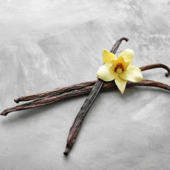 Vanilla